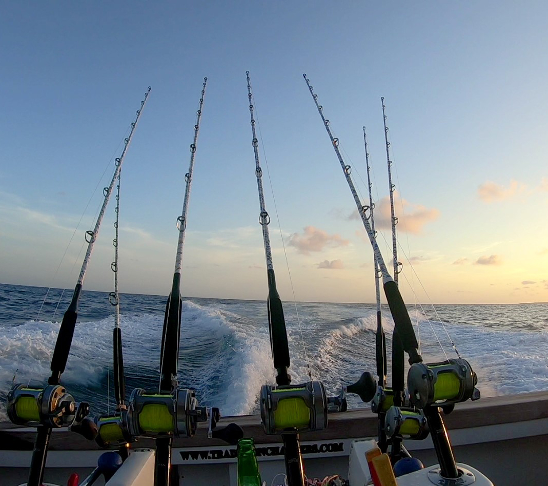 reels